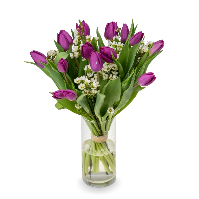 Kytice fialových  tulipánů